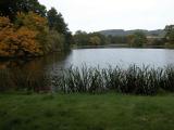 Witley Court - Pond