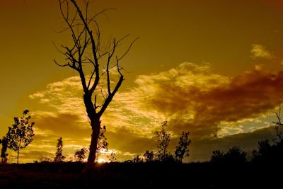 Oroville-sunset1.jpg
