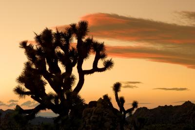JT-Sunset1.jpg