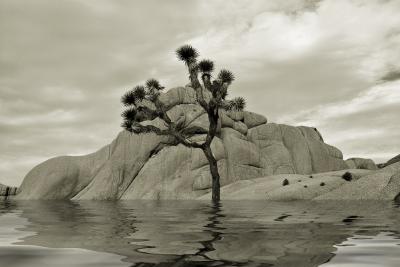 Jumbo-rocks-flood.jpg