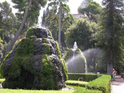 v3/99/248799/3/51585087.ORI_ROME_2005_18_08_115946_107.jpg