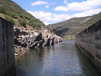 v3/99/30199/3/44458288.dam.jpg