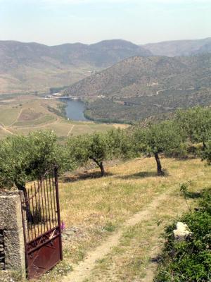 Portugal 2005