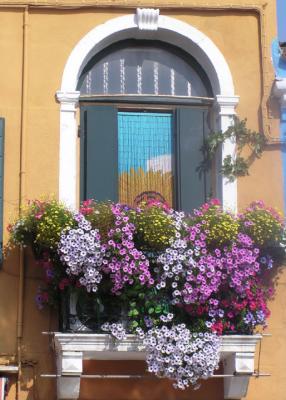 Burano windowbox.