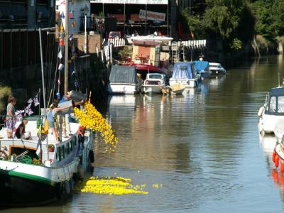 Sandwich Fest Duck Race