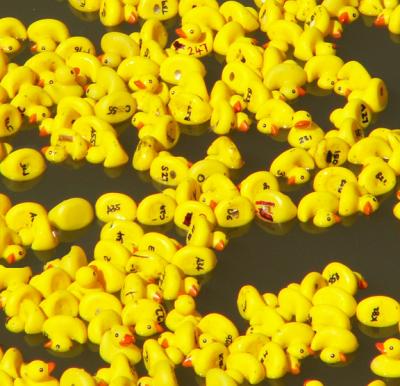 Sandwich Fest Duck Race