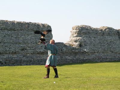 Falcon show at the Fort.  It was here that Claudius' invading army landed in AD 43.