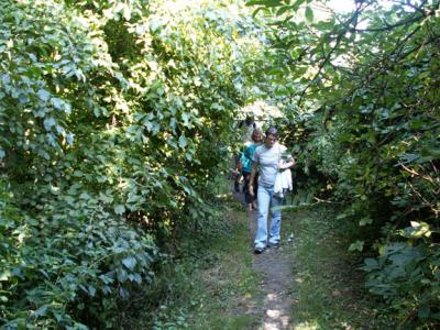 Walking through the path to catch the boat back to Sandwich
