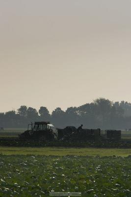 Farmer in the Northern part of Holland