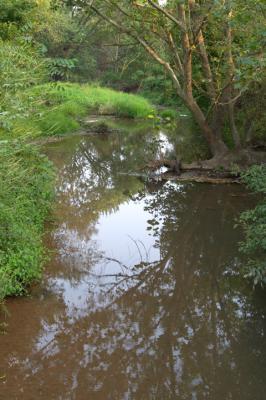 Ballenger Creek.jpg