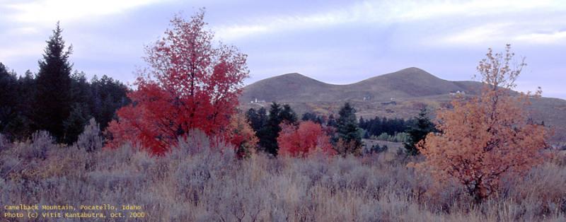 Camelback Mountain Pocatello in Autumn.jpg