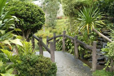 Footbridge Doi Inthanon Chiang Mai _DSF0125.jpg