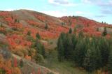 Buckskin Autumn Scene DSC_6680.JPG