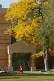 Autumn at ISU -- Physical Science Building DSCF0484.jpg