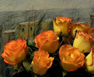 Roses Of Haifa