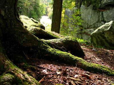 Chesterfield Gorge