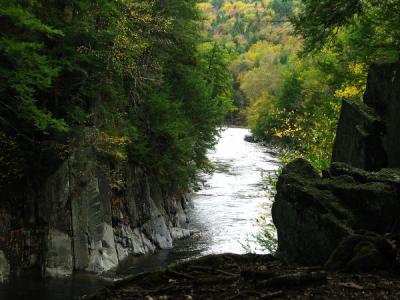 Chesterfield Gorge