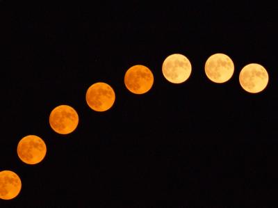 v3/99/437099/3/49529163.Moonstruck.jpg