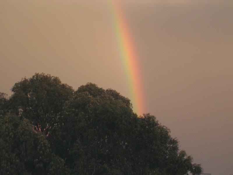 Rainbow - taken from the window of my house