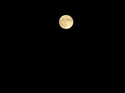 v3/99/524399/3/50974309.PICT0012.jpg