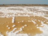 Salina em Faro // Saltpan near Faro International Airport