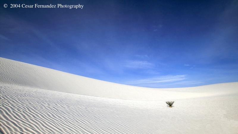 White Sands-40.jpg