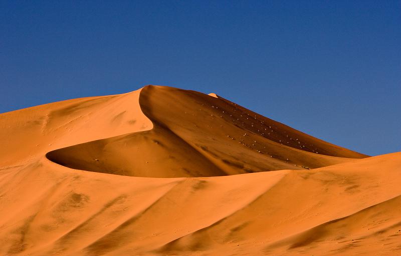 Red Dune - Detail