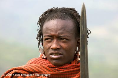 Maasai Warrior