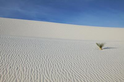 White-Sands-B.jpg