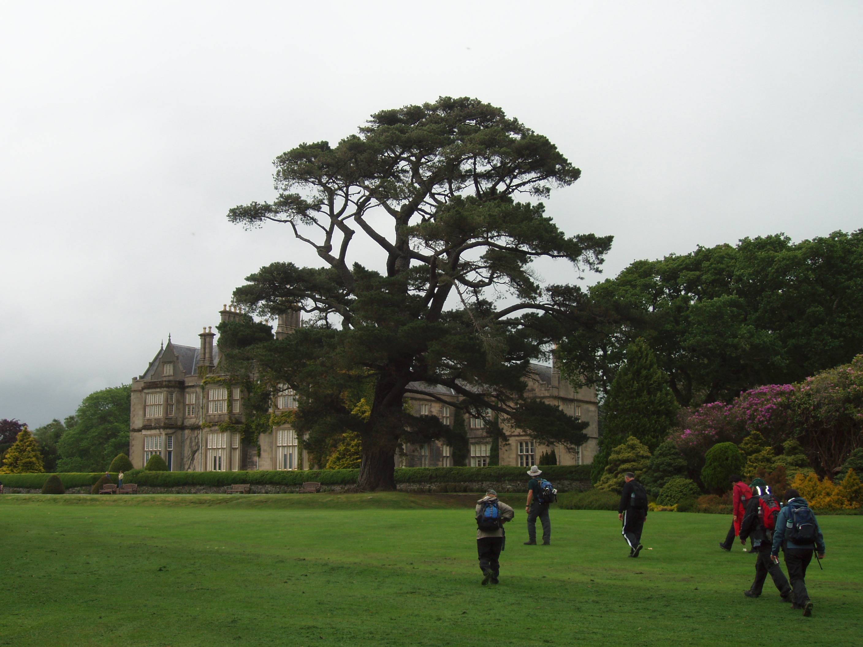 muckrosshouse.jpg