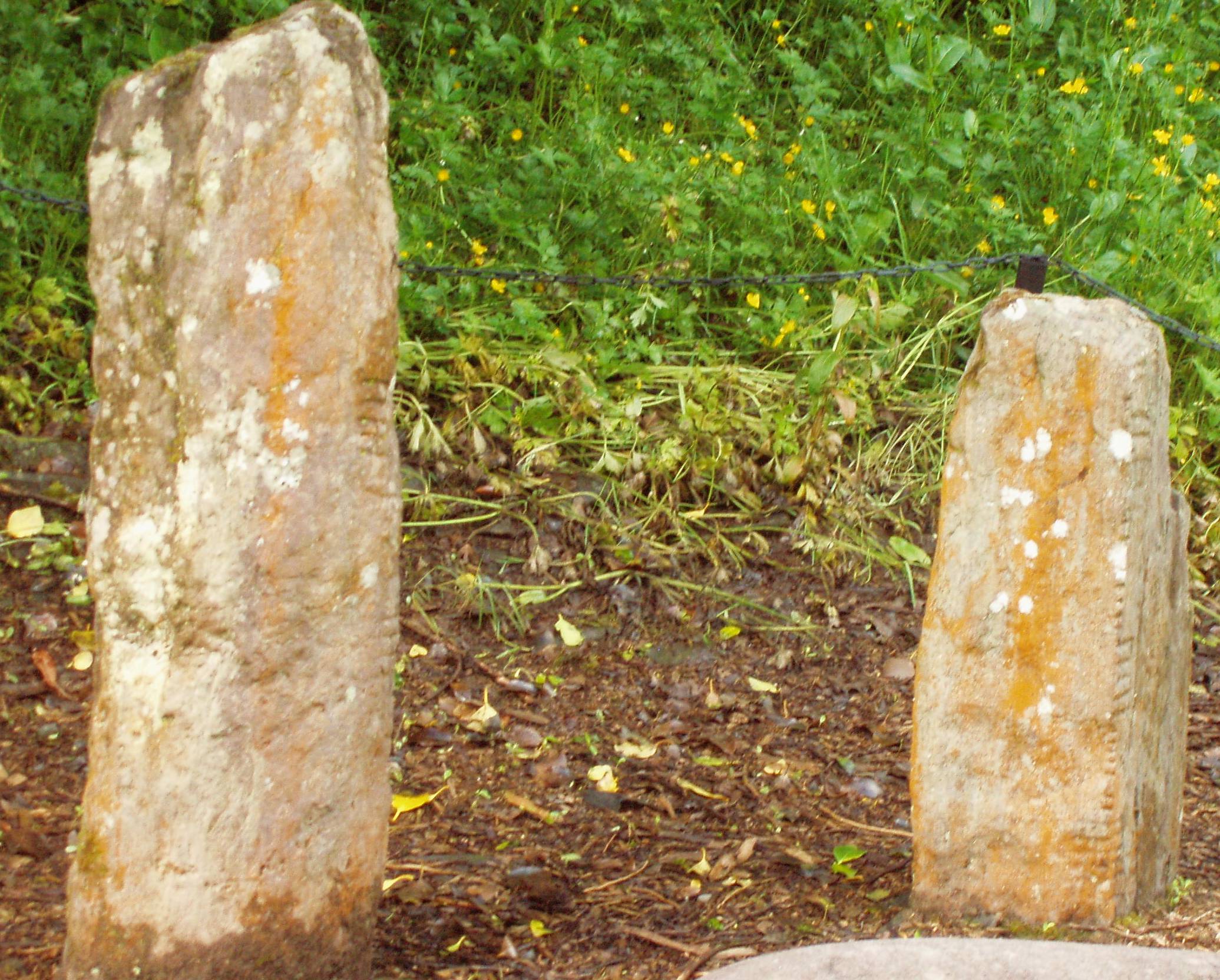 oghamstones3.jpg