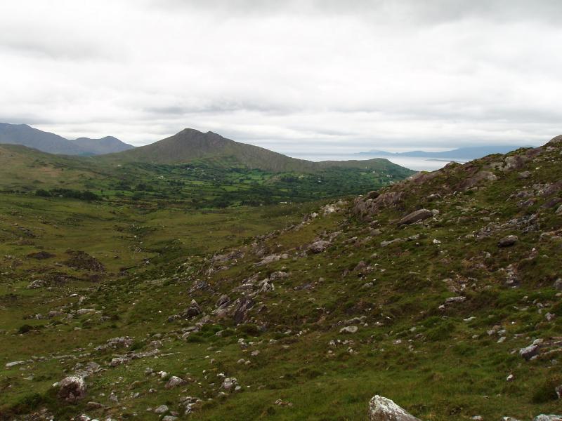 hillhikewithpaddy.jpg