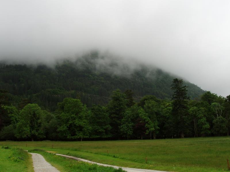 fogatmuckross.jpg