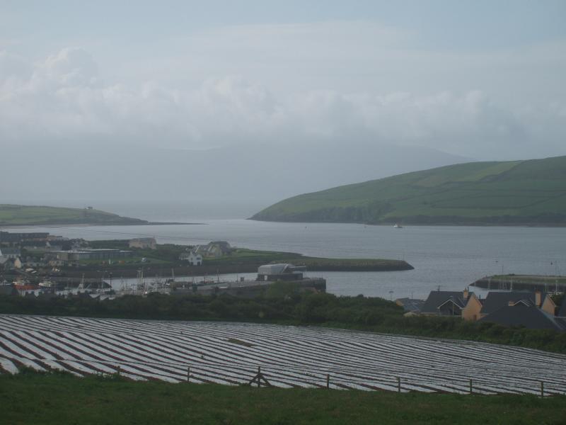 viewfromdingleb&b.jpg