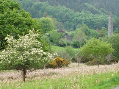 glendaloughhawthorne.jpg