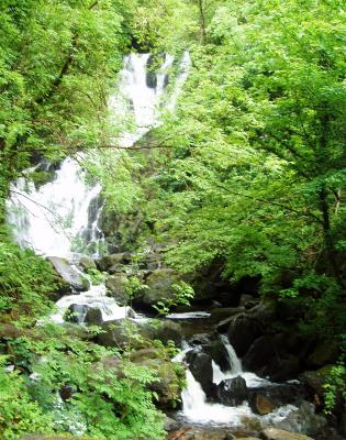 killarneyfalls.jpg