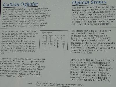 oghamstonesplaque.jpg