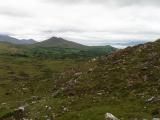 hillhikewithpaddy.jpg