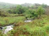 Killarneynationalpark.jpg