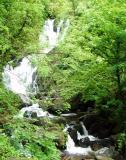 killarneyfalls.jpg