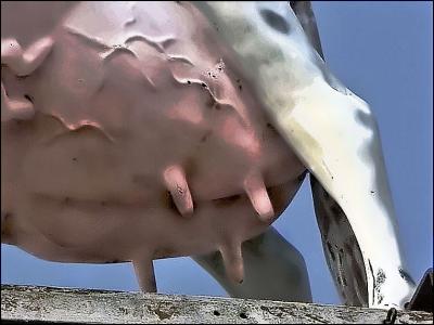 udder one