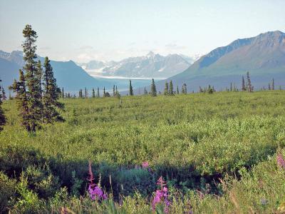alaska