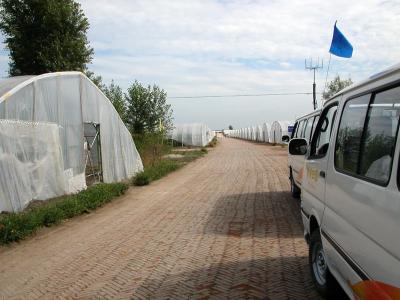 Harbin - greenhouses