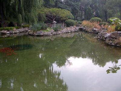 v3/99/69099/3/50319917.SY_NewPalacePond.jpg